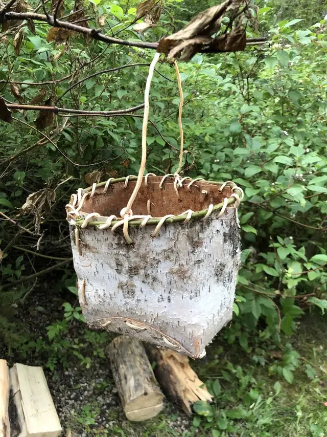 森林制作物品大全(森林手工作品)